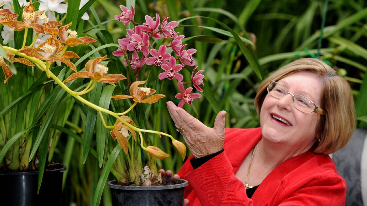Joy Scott, 2013 president of Horsham District Orchid Society. Picture: FILE