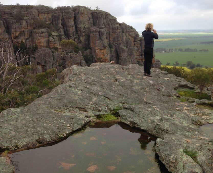 A shallow pool on Mount Arapiles where an ancient species of shrimp was found