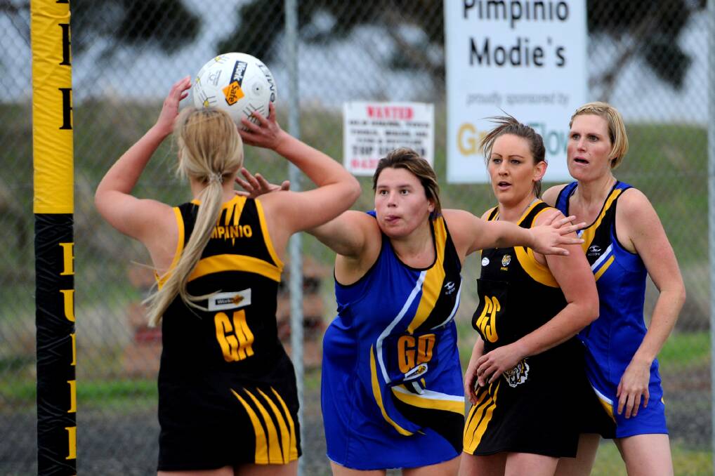 UPGRADE: Pimpinio president Danny Hamerston is hoping to see his club improve its netball facilities. His 2018 wishlist includes a second playable netball court for the club to help with training. Picture: SAMANTHA CAMARRI