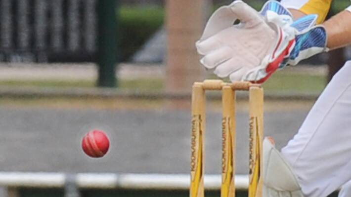 Indoor cricket could return to Horsham