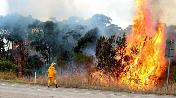 Fire fighting: Backburning near Catherine Hill Bay, NSW. Photo: Phil Hearne