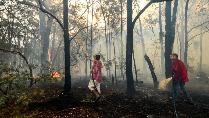 Adam Watkin and partner Prue Mathisen fight the fire to save their rented home in Lancefield. Photo: Justin McManus