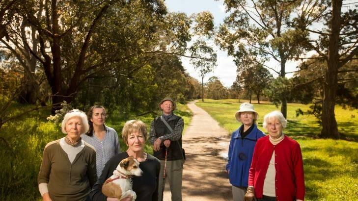 Friends of Salt Creek are concerned that 500 native trees could be felled to make way for a 1.4km railway trench. Photo: Simon Schluter