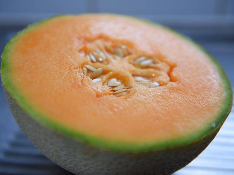 Four Australians have died from listeria linked to rockmelons from a NSW farm.