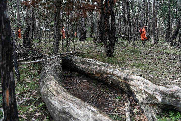 The Age, News, 13/07/2017 photo by Justin McManus. SES and Police in Mt. Macedon searching bushland where Karen Ristevski body was found. The site where Karen's body was found.