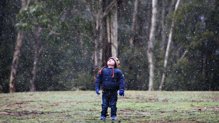 Two-year-old Leo Orfanidis watches the snow falling at Mount Macedon on Friday. Photo: Paul Rovere