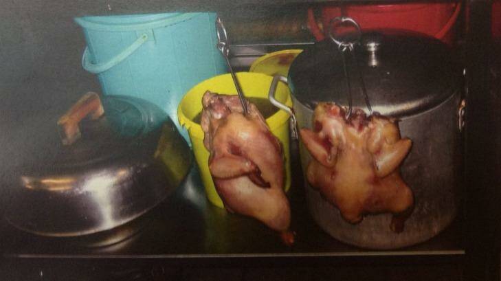 Cooked chickens hanging from shelving at Red Emperor, as pictured in photographs shown to the court. Photo: Supplied