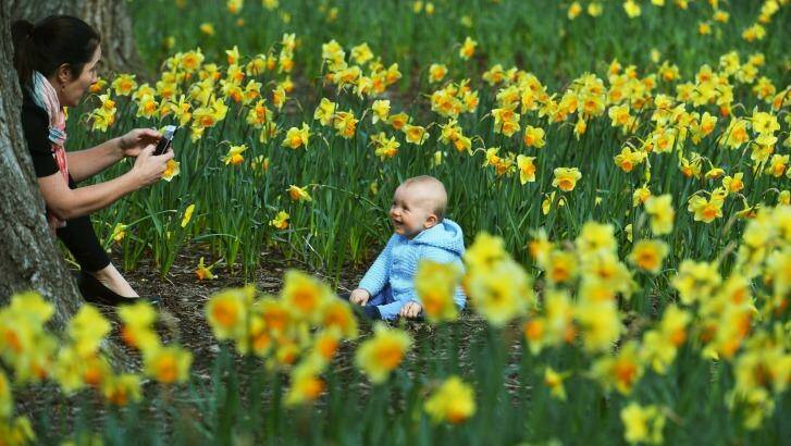 Katharine Squires with her 9-month-old son William enjoy the last day of winter in the Fitzroy Gardens.  Photo: Joe Armao