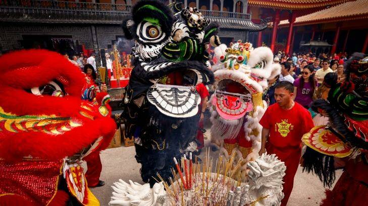 Lion dance in the courtyard of the Bright Moon Buddhist temple during Lunar New Year celebrations 2016. Photo: Eddie Jim