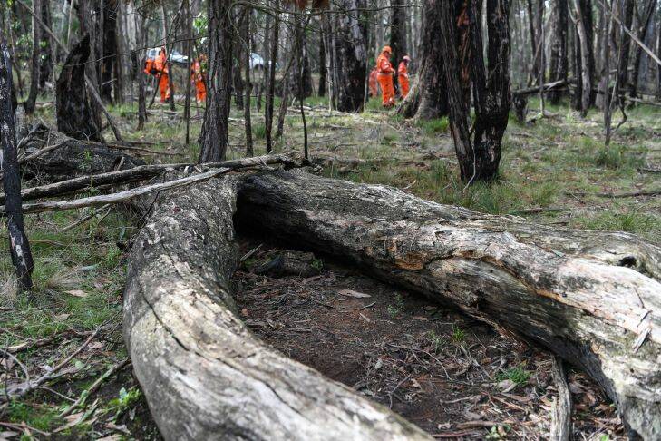 The Age, News, 13/07/2017 photo by Justin McManus. SES and Police in Mt. Macedon searching bushland where Karen Ristevski body was found. The site where Karen's body was found.