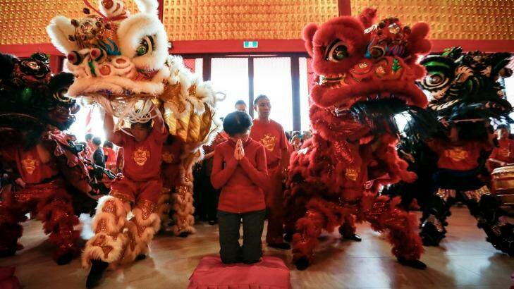 Worshipper not disturbed by lion dance at Lunar New Year celebration, Bright Moon 
Buddhist temple in Springvale South.  Photo: Eddie Jim
