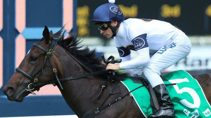 Randwick-bound: Ben Melham rides She Will Reign to win the Silver Slipper Stakes at Rosehill. Photo: bradleyphotos.com.au