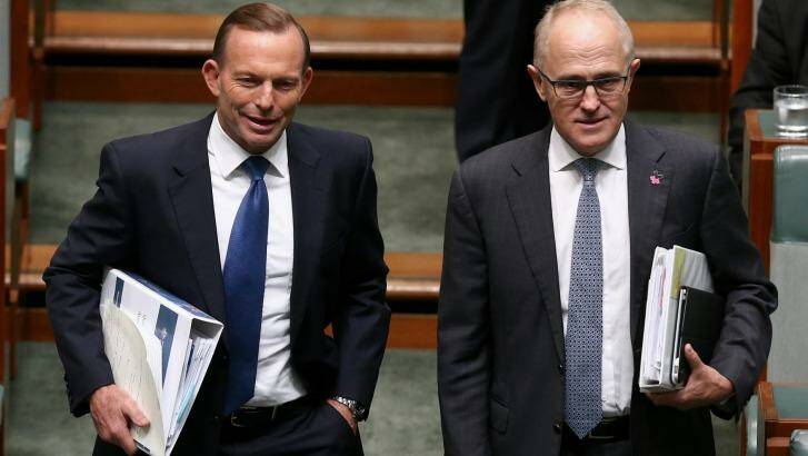 "The idea that there's this massive gulf between us is quite imaginary": Malcolm Turnbull on his and Prime Minister Tony Abbott's social policy. Photo: Alex Ellinghausen