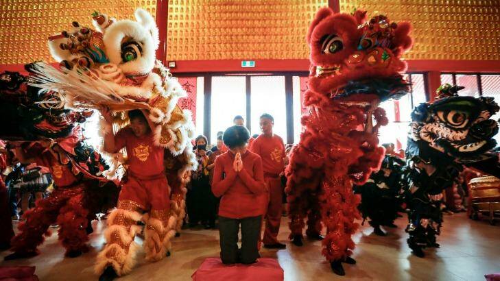 Worshipper Tng Siew Moi is not distracted from prayer during the noise and movement of a lion dance during 2016 Lunar New Year celebrations at Bright Moon Buddhist Temple in Springvale South.  Photo: Eddie Jim