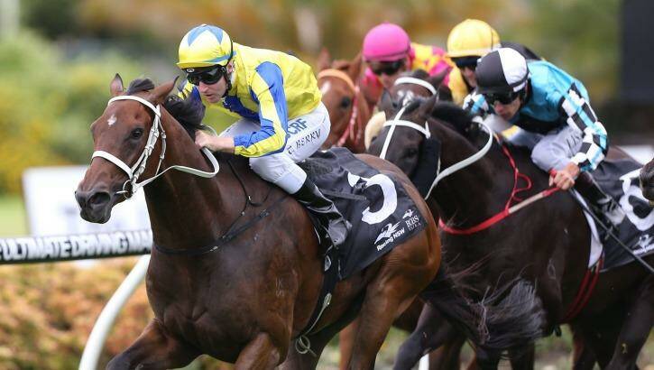 Magic performance: Tommy Berry rides Amovatio to victory at Canterbury on Saturday. Photo: Anthony Johnson