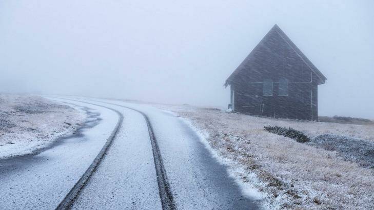 Mount Buller gets a light dusting of snow. Photo: Supplied/Tony Harrington