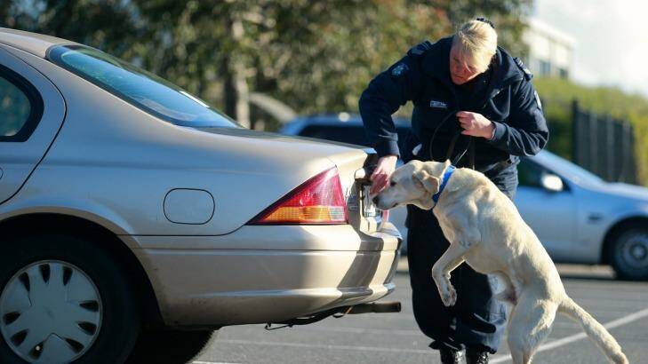 Leading Senior Constable Kathy Koop with her PAD dog Quantum.  Photo: Eddie Jim