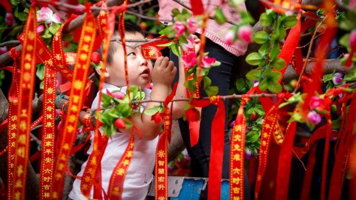 Longfei Che, 3, hangs a ribbon on the wish tree at the Bright Moon Buddhist Temple in Springvale South during Lunar New Year celebrations. Photo: Eddie Jim