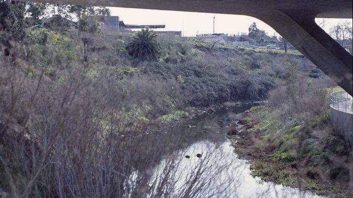 A 1982 image of a section of Merri Creek under the Eastern Freeway overpass at Clifton Hill.