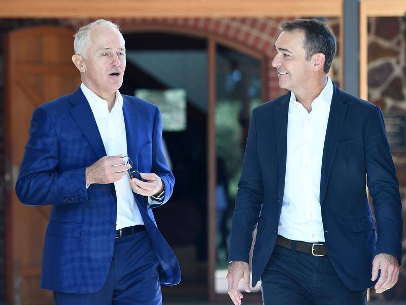 If Steven Marshall can win the SA election, it will end Malcolm Turnbull's Labor problem.