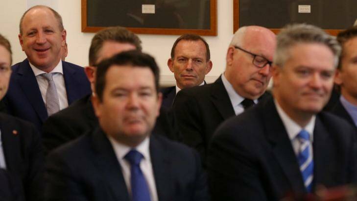 Face in the crowd: Tony Abbott listens to Prime Minister Malcolm Turnbull addressing the party room at Parliament House in November. Photo: Andrew Meares
