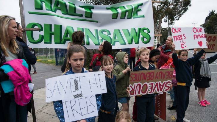 Protesters gather outside the college where trees are being felled for development. Photo: Josh Robenstone