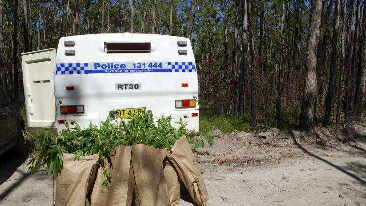 The drug taskforce seized 2.7 tonnes of cannabis and 51,000 plants in the 12 months to September. Photo: supplied