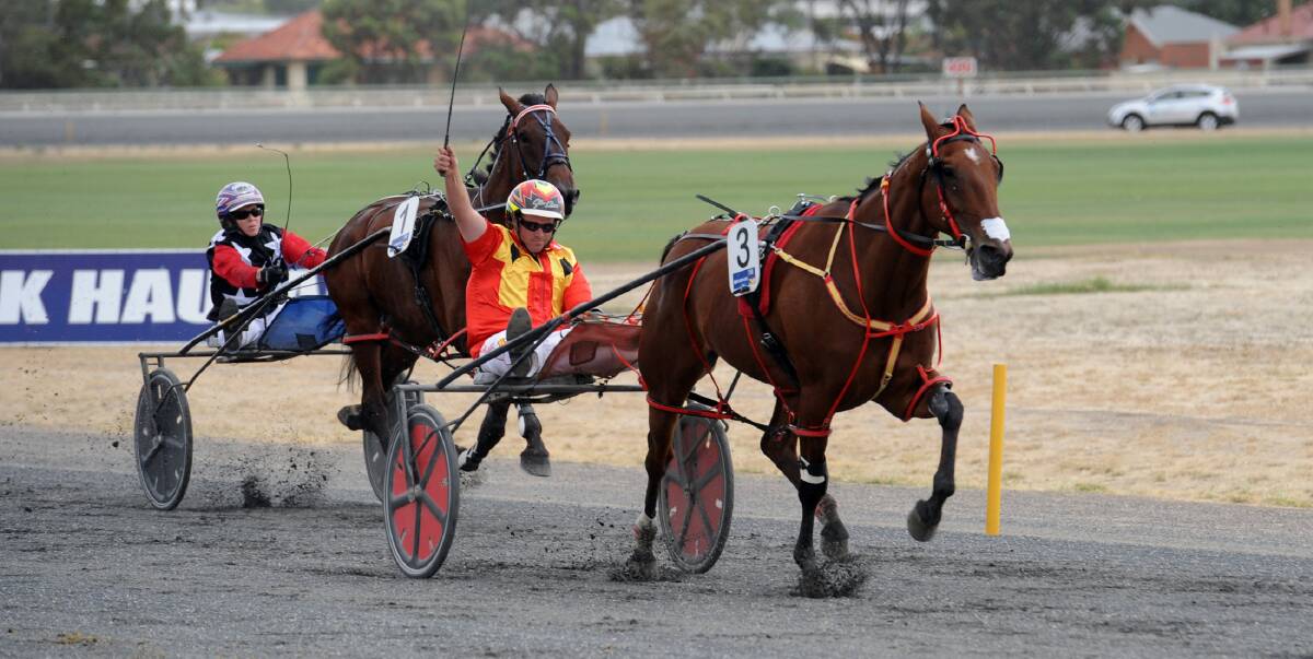 ACTION ON THE TRACK: Horsham Pacing Cup winner Glenn Craven Keayang Steamer, salutes at the 2015 event. Photo: PAUL CARRACHER. 