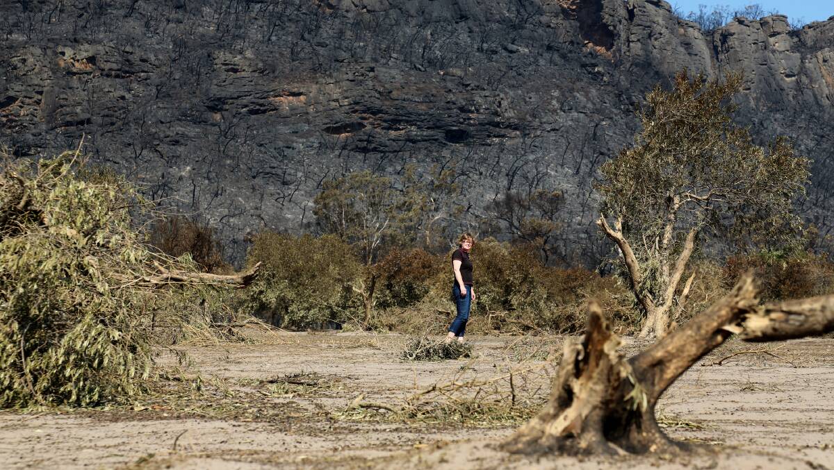 Deirdre Baum surveys the wreckage in 2014.