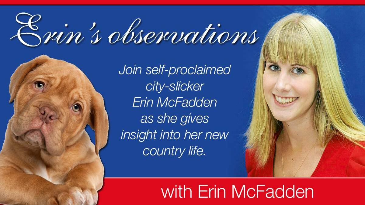 Confession: I still hate dogs, but now I own one | Erin's Observations