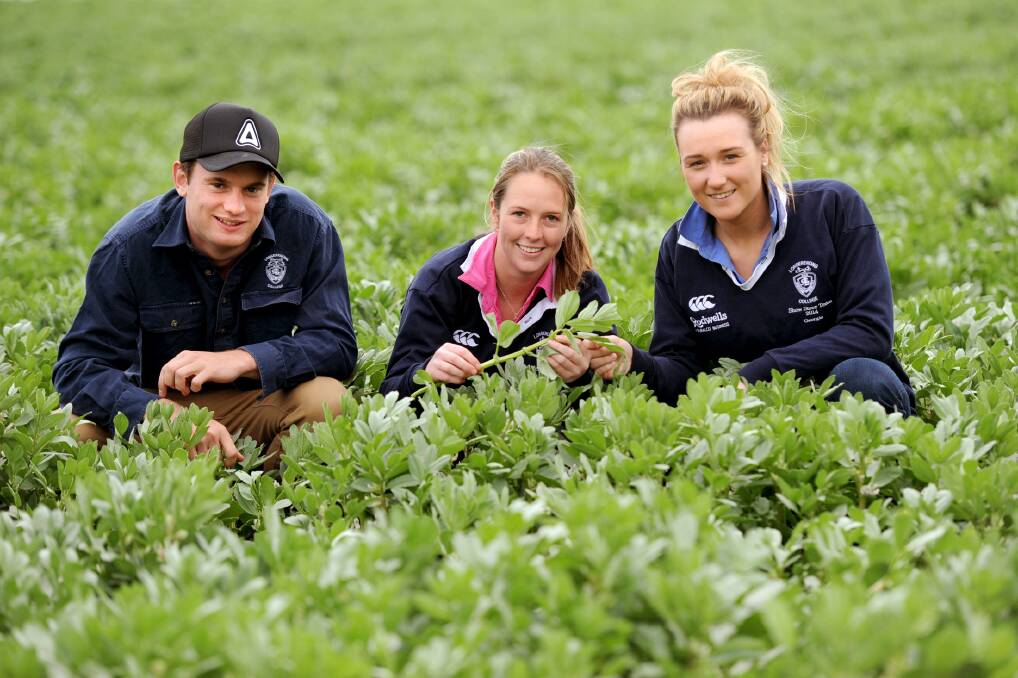 IN THE FIELD: Longerenong College students Tom East, Jordan Layley and Georgie Mack inspect the crops at the college's annual cropping challenge site. Picture: SAMANTHA CAMARRI