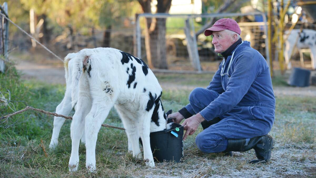 Tamworth dairy farmer Terry Tout.