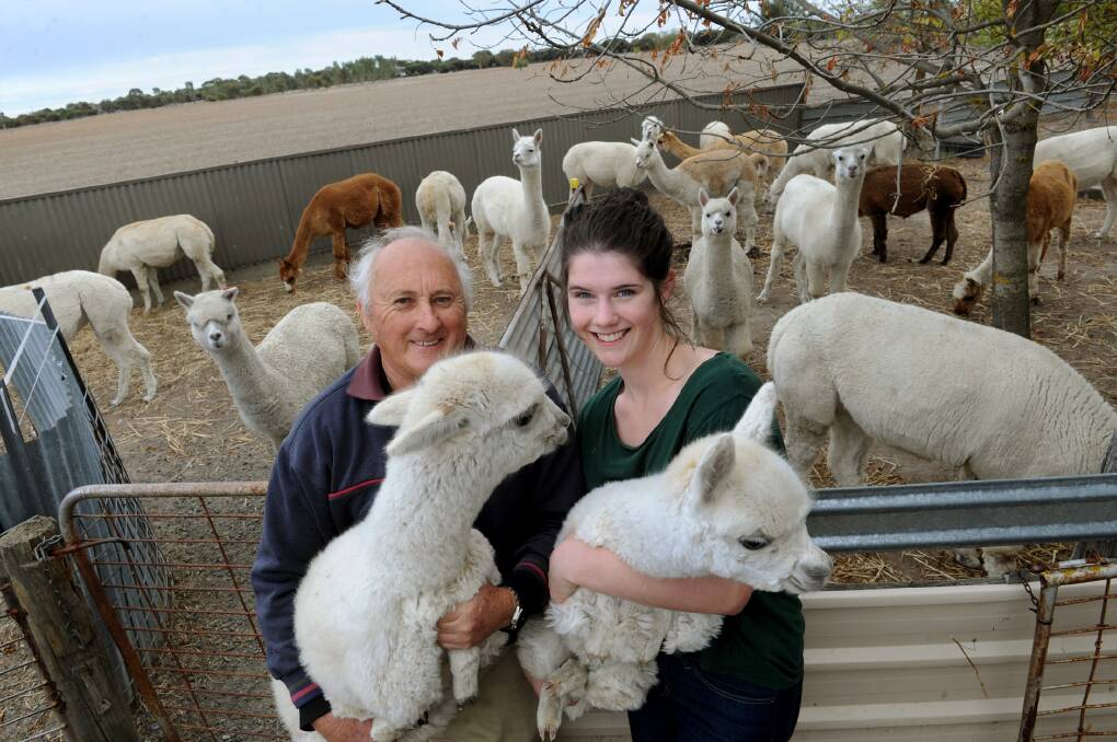 OPEN FARM: Nambi Alpacas' Lance Trigg and Kate Lambert, with alpaca crias, celebrate Australian Alpaca week with an open day on Saturday. Picture: PAUL CARRACHER