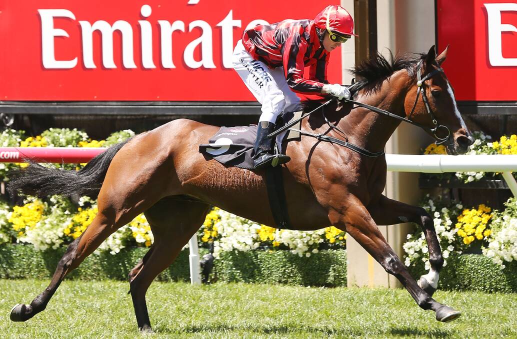 CONTENDER: Mujadale, pictured winning the Carnival Handicap on Melbourne Cup day in 2013, will contest the Port Adelaide Cup in Saturday. Picture: GETTY IMAGES