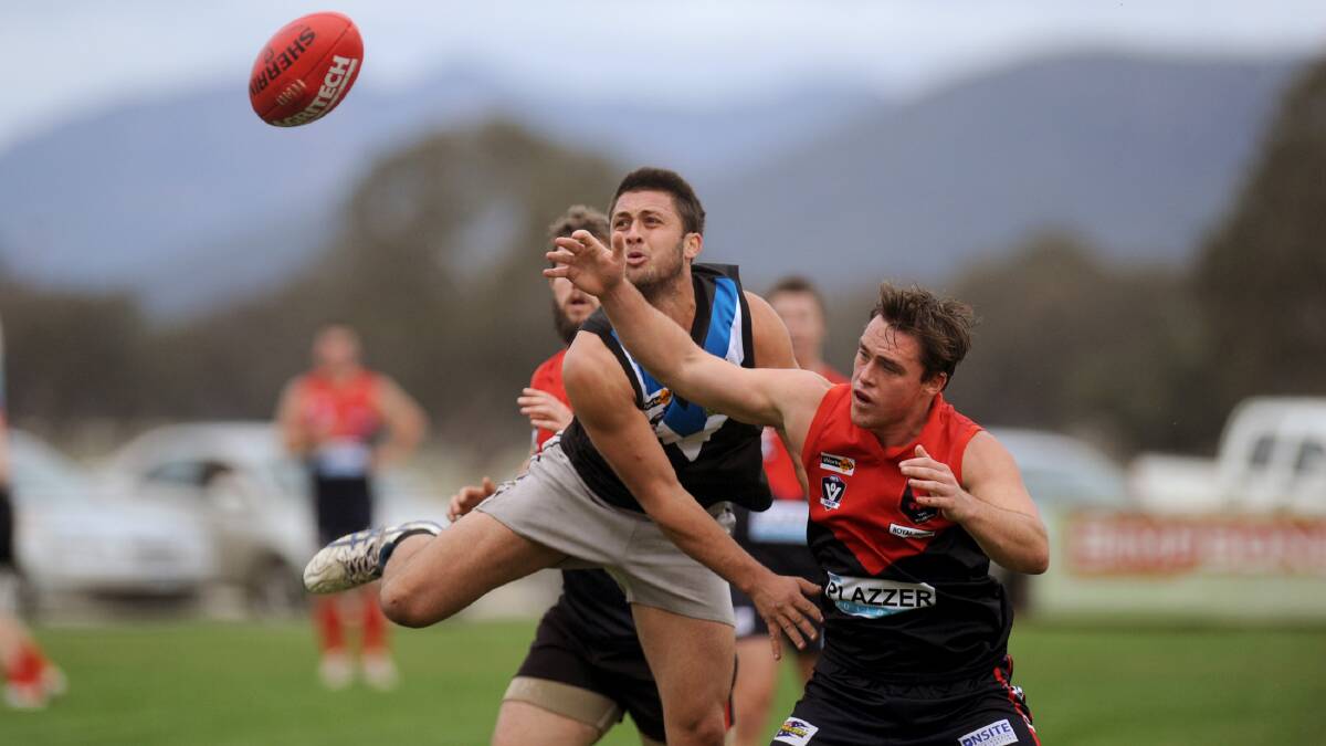 Ricky Whitehead was a standout for Swifts again at the weekend. Picture: SAMANTHA CAMARRI