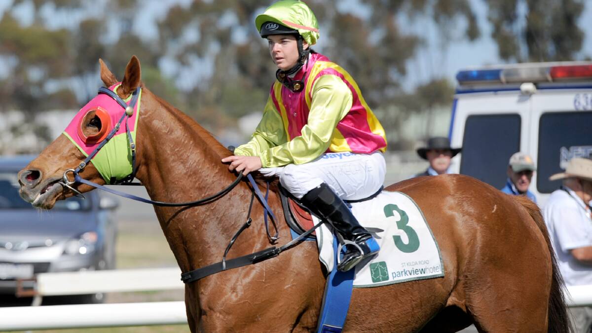 CONTENDER: Darryl Dodson's Texan Warney will contest the 2014 Apsley Cup at Edenhope Racecourse on Saturday. Picture: SAMANTHA CAMARRI