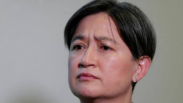 "New enrolments are lower than I would like": Labor foreign affairs spokesman Penny Wong. Photo: Alex Ellinghausen
