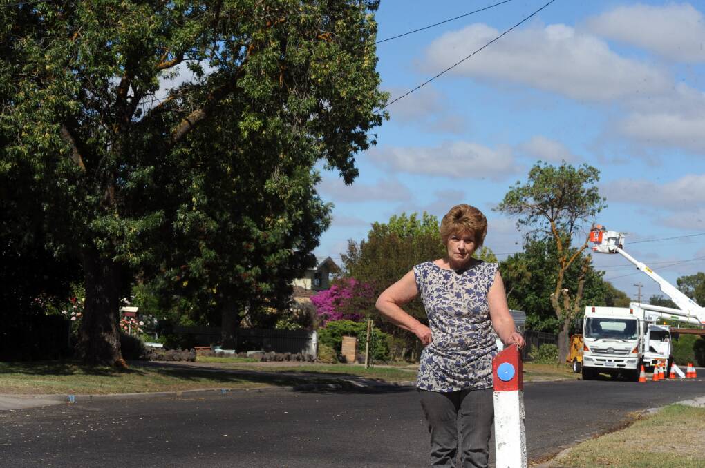 Judy Miller is upset Horsham Rural City Council is cutting down trees in Dollar Avenue. Picture: PAUL CARRACHER
