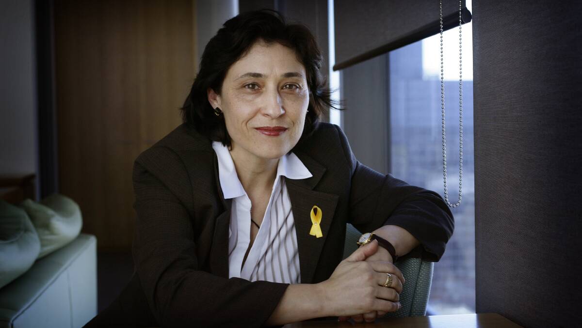 VISIT PLANNED: Victorian Resources Minister Lily D’Ambrosio intends to meet with Illuka. Picture: ANGELA WYLIE, THE AGE