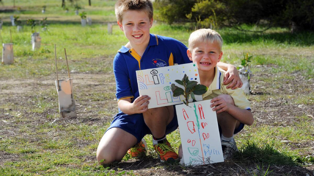 BUDDIES: Holy Trinity Lutheran School students Matthew White and Will Nagorcka
work together during a tree planting day at the school’s oval. Picture: PAUL CARRACHER