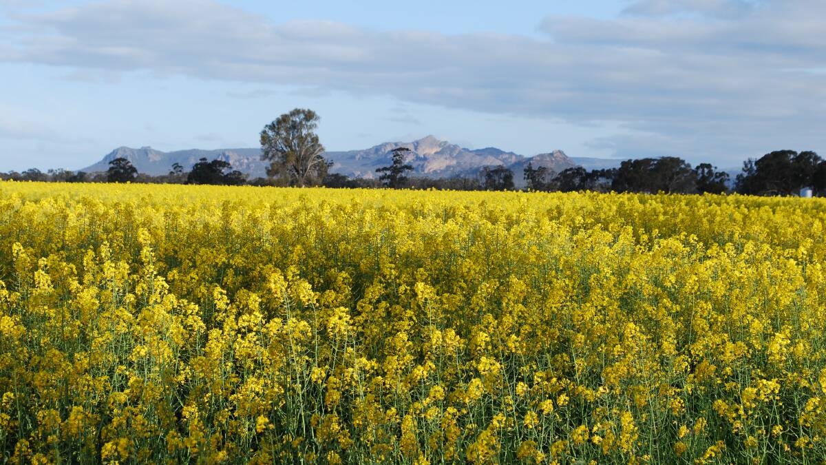 PICTURESQUE: The Wimmera will be in the spotlight at next month's Regional Victoria Living Expo. Picture: CONTRIBUTED
