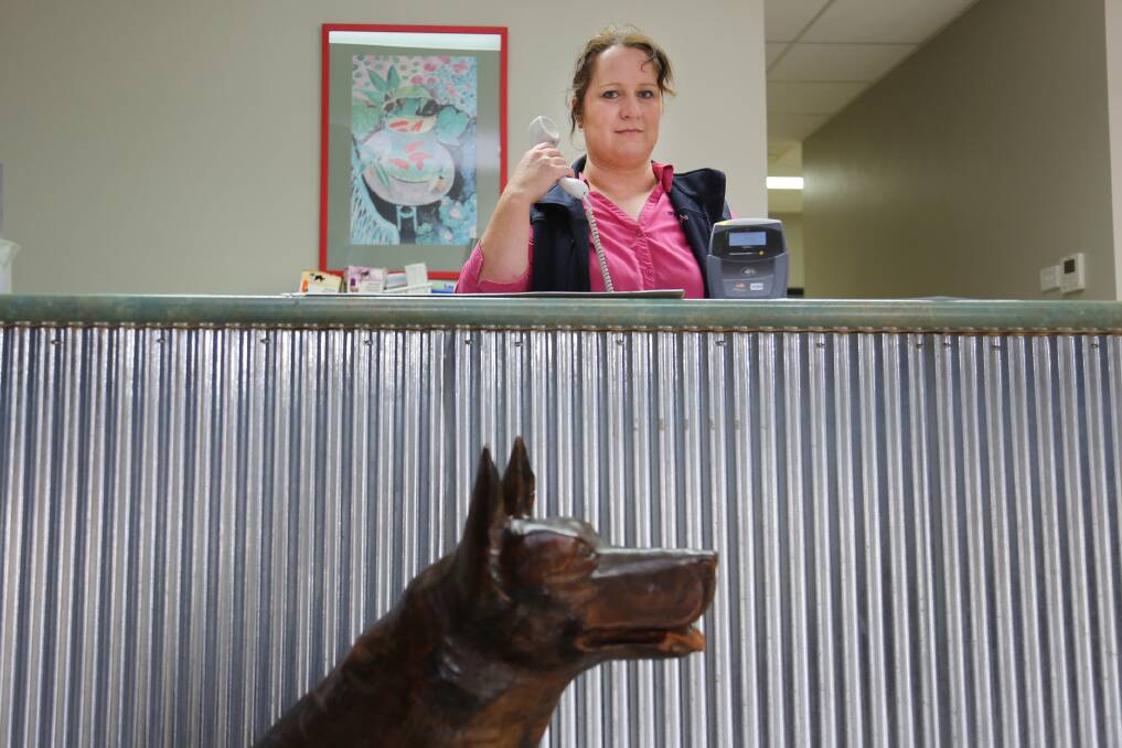PHONES QUIET: O'Callaghan Parade Veterinary Clinic veterinary nurse Jane Moore has had to make do with her mobile phone after the clinic's phone, fax and EFTPOS machines suddenly died at the weekend. Staff have been advised their telecommunications provider has gone into liquidation. Picture: THEA PETRASS