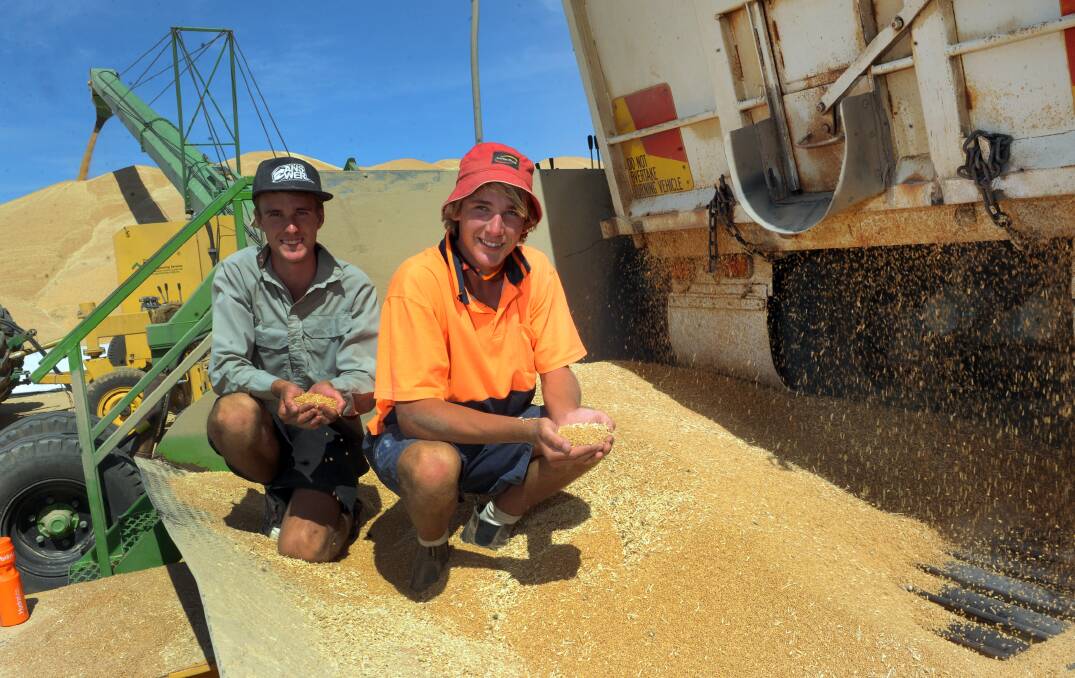 DECEMBER: Daniel Purdle and Cam Grayson at Moore Bulk Storage at Horsham, as wheat flows in.