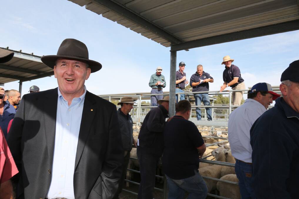 Governor-General Peter Cosgrove is shown through the Horsham Regional Livestock Exchange. Picture: THEA PETRASS