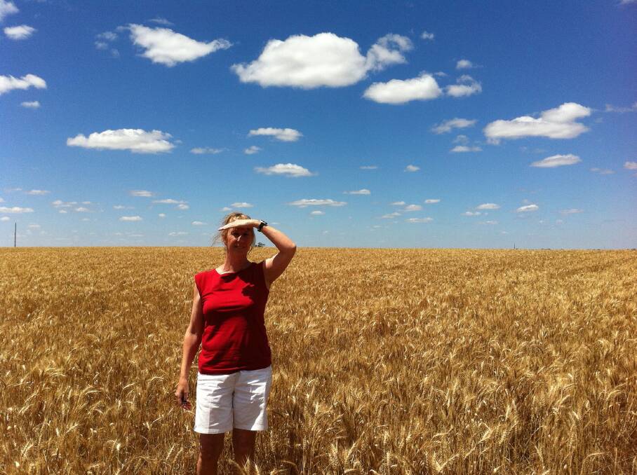 The Dressmaker author Rosalie Ham searches for Dungatar in the Wimmera.