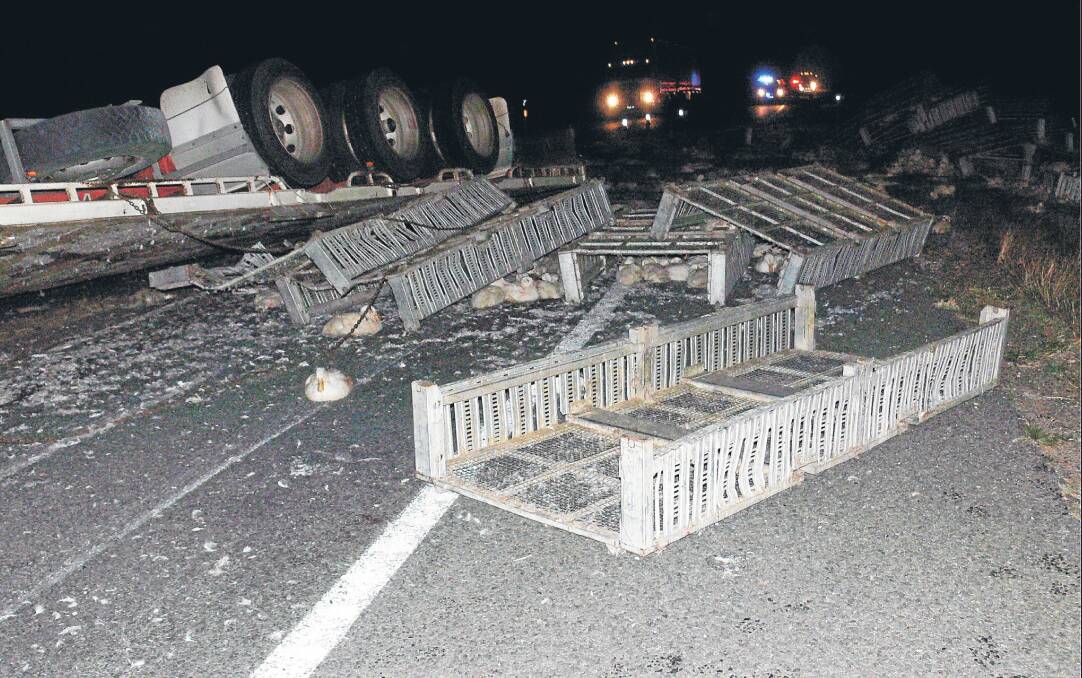 ACCIDENT: Nhill police sent this photo of a truck accident on the Western Highway, three kilometres west of Nhill, which killed hundreds of ducks bound for Nhill’s Luv-a-Duck processing plant on Wednesday night.