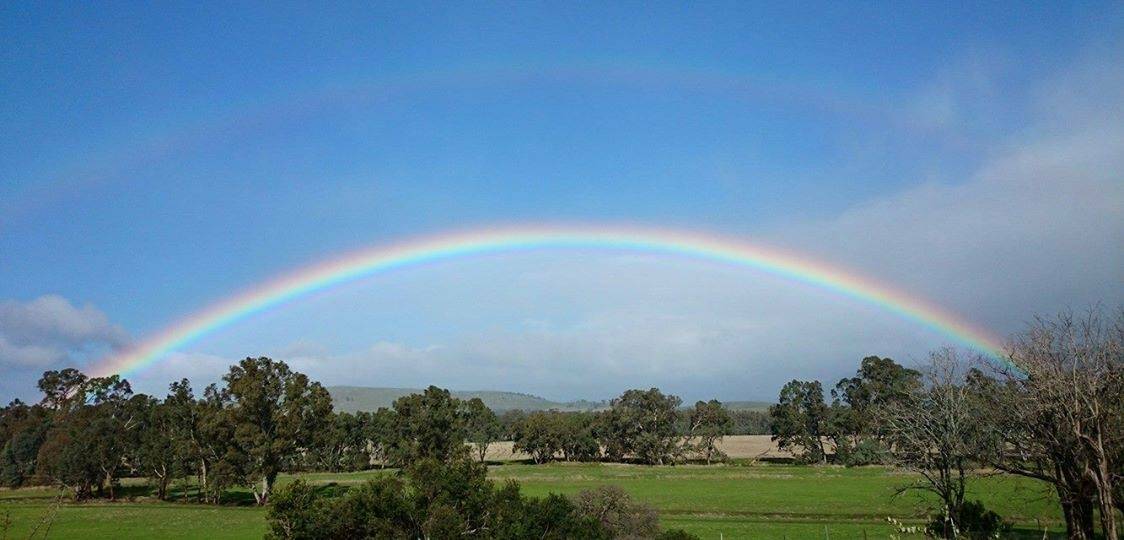 PIC OF THE DAY: Send your photos of the Wimmera to newsdesk@mailtimes.com.au or tag us on Instagram @wimmeramailtimes and use the hashtag #wakeupwimmera to have your pic included! Photo: ANDREA COOPER