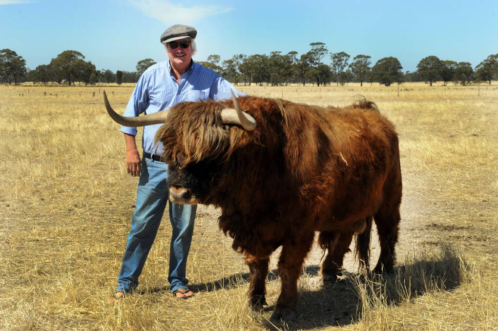 NEW FEATURE: McKenzie Creek farmer Neville McIntyre with his highland bull that he will take to the Wimmera Machinery Field Days. Picture: PAUL CARRACJER