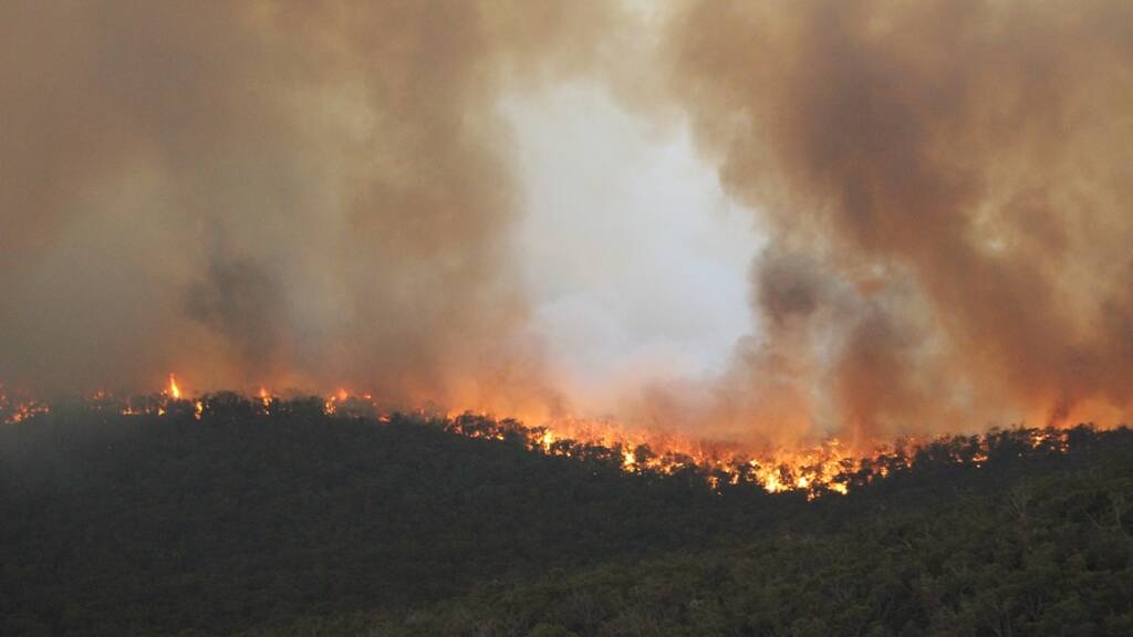 Wimmera calls for roadblock flexibility after bushfires