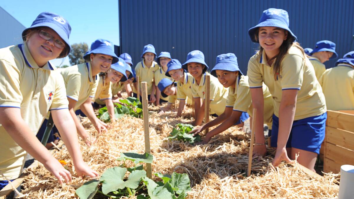 GOING GREEN: Holy Trinity Lutheran School pupils, from left, Grace Buckman, Lucy Macchia and Emily Baker and, right from fourth back, Katelyn Busbridge, Isabela Igros, Michelle Beltz and Sacha Koschmann tend to the school’s vegie garden. Picture: KELLY McRAE